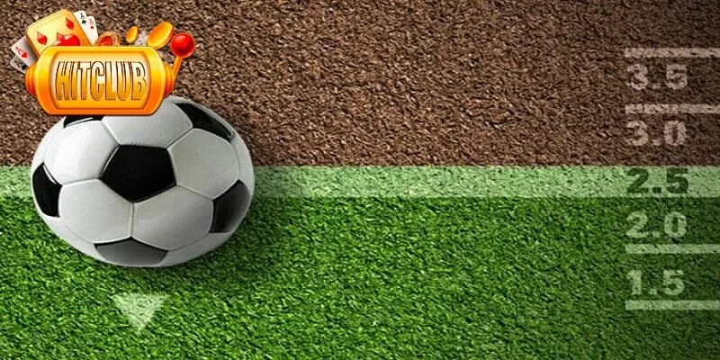 Mẹo chơi tài xỉu cho người mới